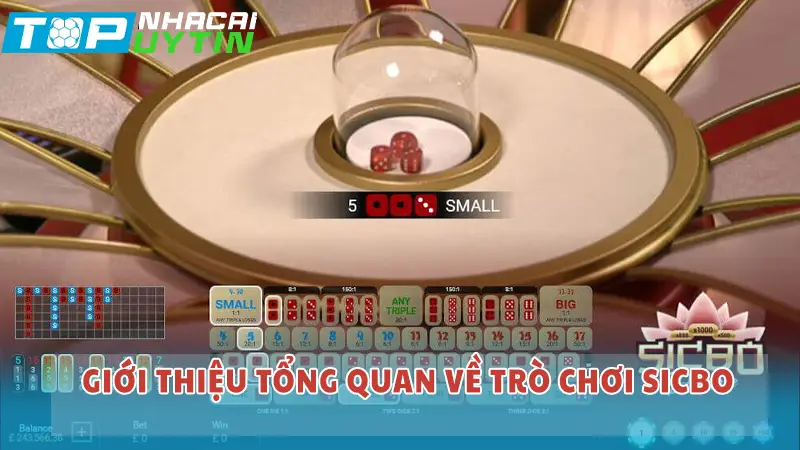 Giới thiệu tổng quan về trò chơi Sicbo
